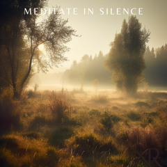 Meditate in Silence