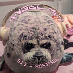 ANGEL MIX 011 - SOFTGEL