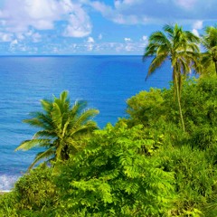 Pure Relaxation! Ocean Sounds In Hawaii | White Noise For Sleeping (75 Minutes)