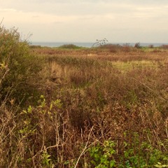 Direkte ind i armene (på mig)