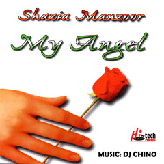 Tu Meri Zindagi Hai (feat. DJ Chino)