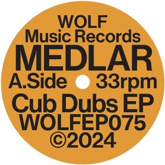 PREMIERE: Medlar & Logea - Tout Est Fini [Wolf Music Recordings]