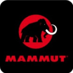 mammut speedup(prod. willowcmtry)
