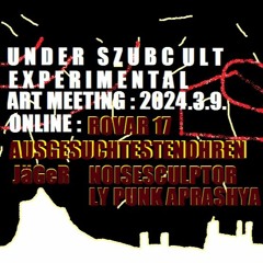 NoisesCulptor :2024.3.9. Under Szubcult