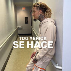 TDG Yerick SE HACE