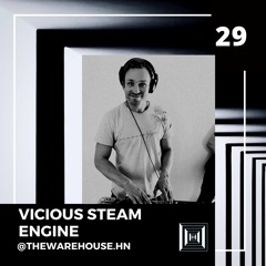The Warehouse #29 | Vicious Steam Engine