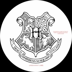 Hogwarts!! (Harry Potter 20 Years Celebrate Mix)/ Ayako Mori/ Unbekannt label **FREE DOWNLOAD**