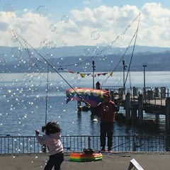 Dragon year just started Minimix