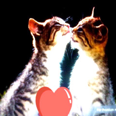 ʟʊʋ ʊ քʀօɖ. ʄʀöֆֆʏ & ɨʍֆȶɛǟʟɨռɢɛʍֆ