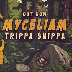 Myceliam - Shifty E 150.wav