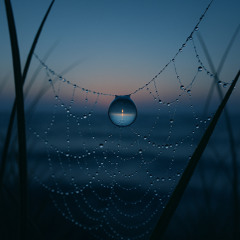 The Dewdrop and the Sea