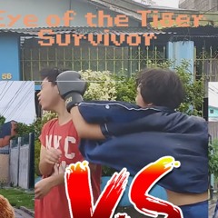 The Eye Of The Tiger | (c) Survivor | COVER