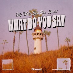 Olly Wall & Lane Boy - What Do You Say (feat. Lindal)