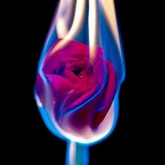 Ginger Bronson - 2 Phones