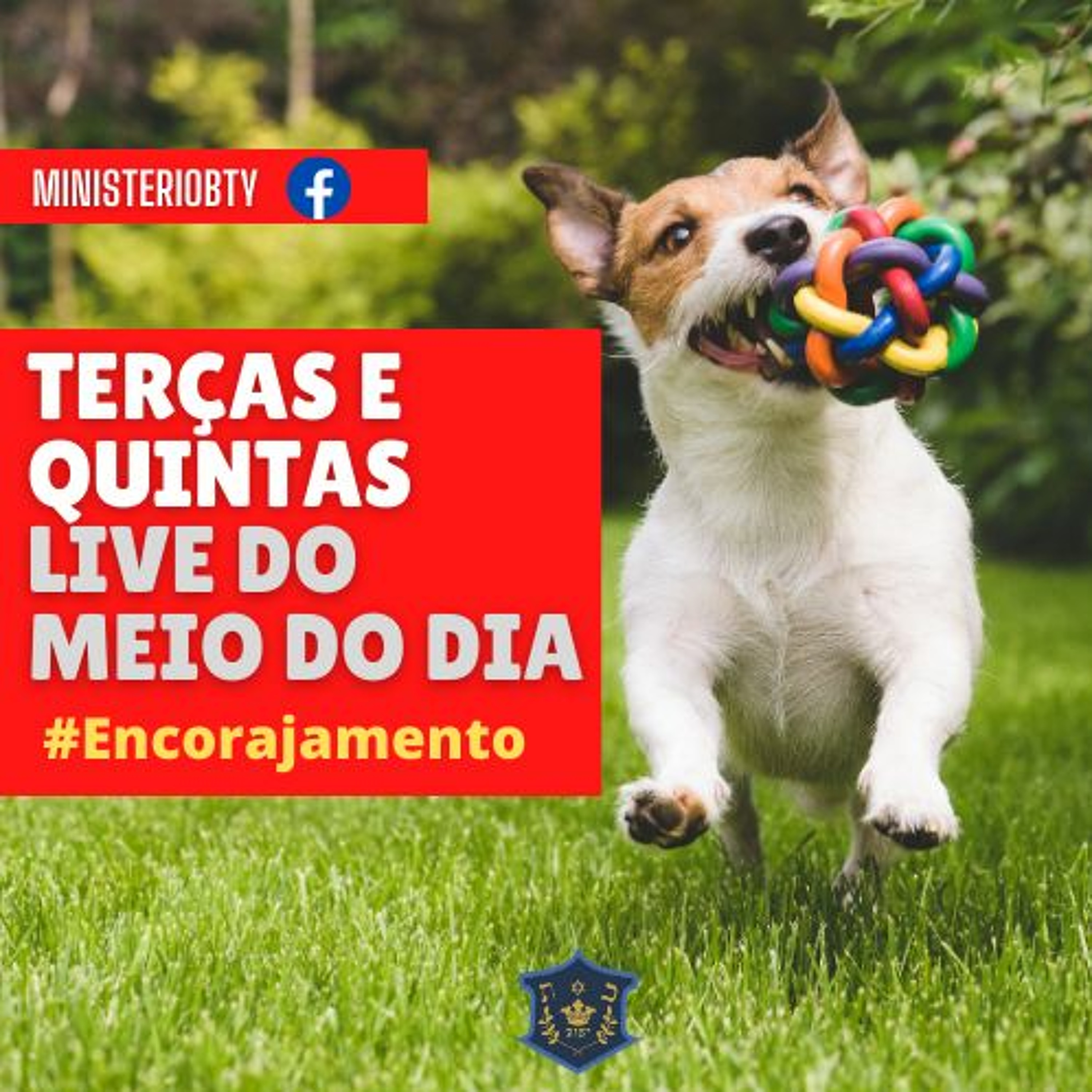 #Encorajmento 3 - Suas limitações podem ser sua maior força episode artwork
