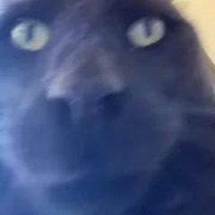 Yung Meth Breath - DOO DOO (2021)