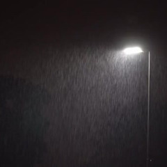 Rainy Nights