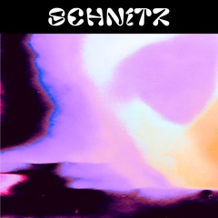 Schnitz