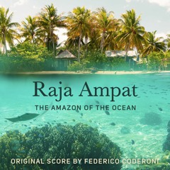 Raja Ampat: The Amazon of the Ocean