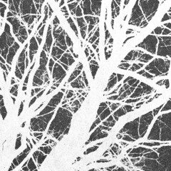 Ximaira M/A/S/S/A/C/R/E at.forestlimit
