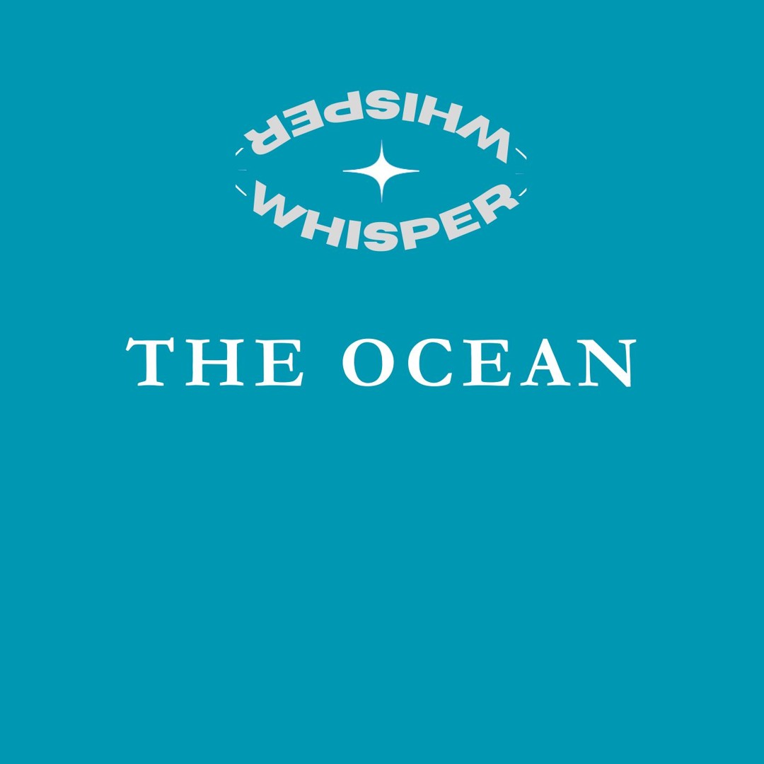 The Ocean