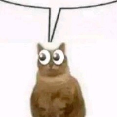 lolsin