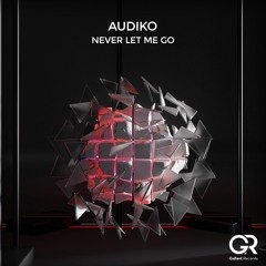 Audiko - Never Let Me Go (Original Mix)