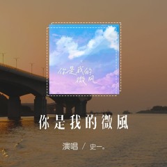 史一 - 你是我的微風「你是我的微風 只屬於天空，我是一片葉子 追尋給的自由」【動態歌詞/pīn yīn gē cí】