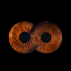 Brown eyes prod.Vrtex