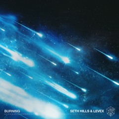 Seth Hills, Levex - Burning