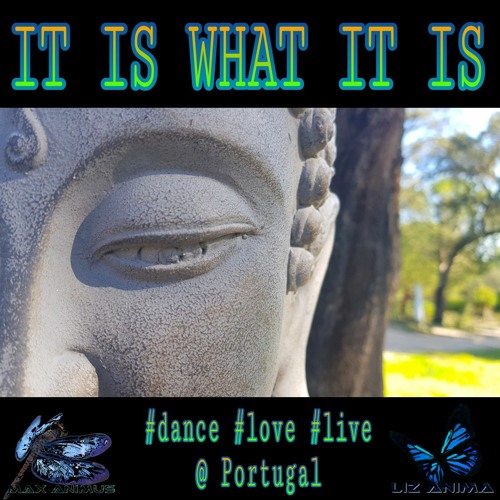 Max Animus X L´Anima - It Is What It Is @ Portugal ~ [Comedy + Deep & Progressive House + Chillout]