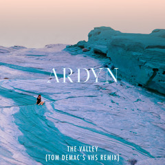The Valley (Tom Demac's VHS Remix)