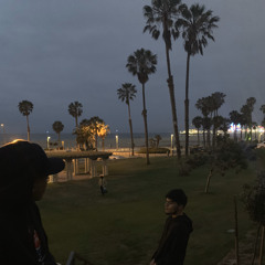 venice views ft.Touch (prod.ninety8)