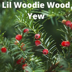 Yew Prod. Lil Woodie Wood 65 Bpm With Hook Chill Lofi Boom Bap Beat Free For Non Profit 30$
