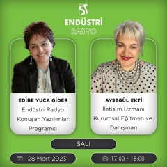 Ayşegül Ekti - Edibe Yuca Gider ile Konuşan Yazılımlar