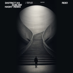 District 313 Sublime | Hasky rmx | RDSR REC