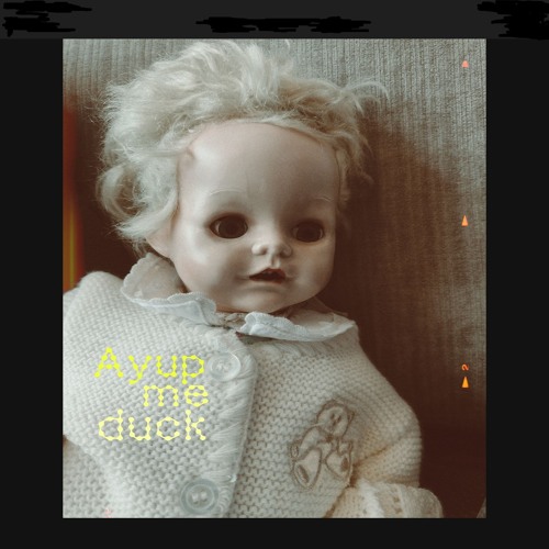 Ayup me duck