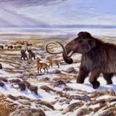 Megafaunal Extinction