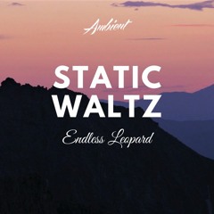 Endless Leopard - Static Waltz