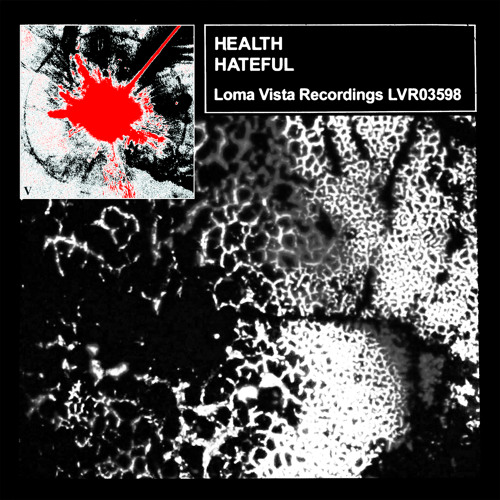 HATEFUL (feat. SIERRA VEINS)
