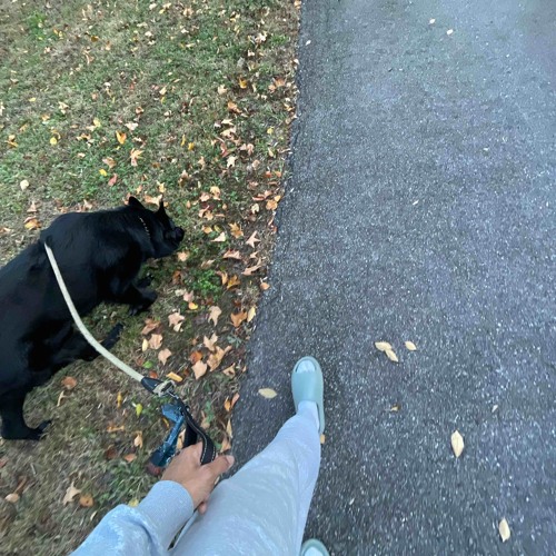 I need prod.dabeat808