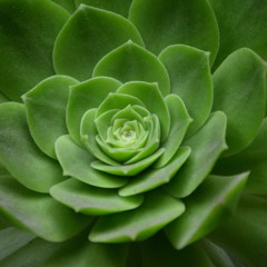 【SOLD】 Chill Type Beat "rosette" (Prod.yuta) for "舐達麻project" by Joplin's Music