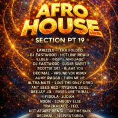 AFRO HOUSE SECTION.19