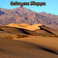 Gefangene Stimmen