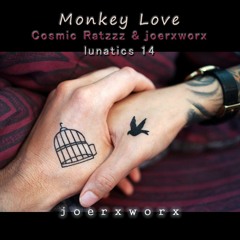 Monkey Love / Cosmic Ratzzz & joerxworx / lunatics 14