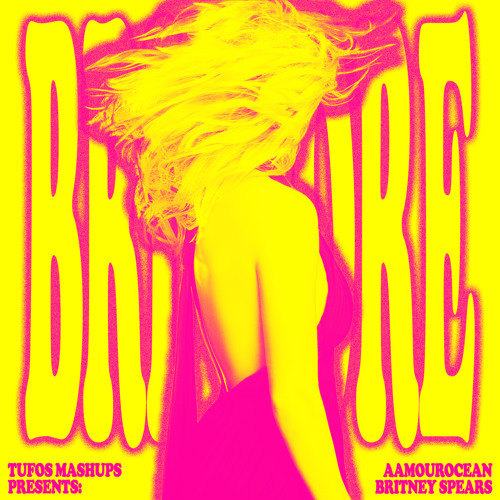 BRITCORE ("Hold It Against Me" Remix) | aamourocean vs. Britney Spears (Mashup)