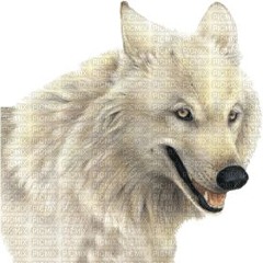 @ᶜᵉˡᵃⁱ fₐᵣ #ʅყƈαɳ