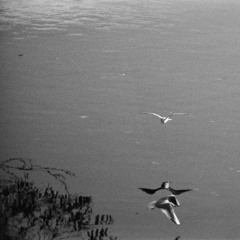 Thread (Unreleased Demo)