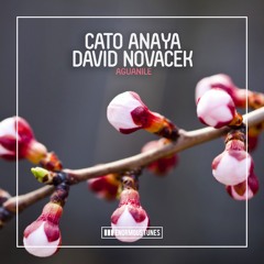 Cato Anaya & David Novacek - Aguanile