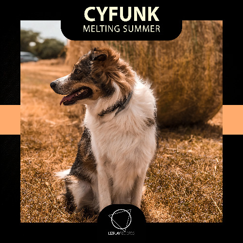 CyFunk - Catch Me (Lizplay Records)